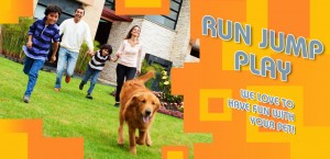 Run Jump Play with family running with dog Slider