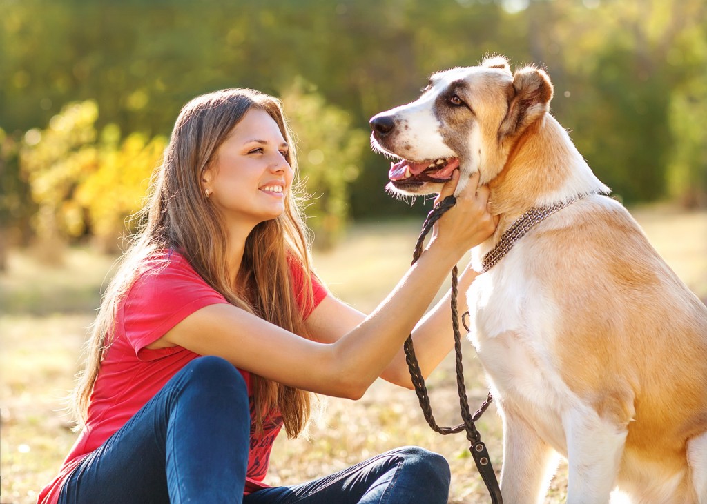 woman walking dog on leash sitting down