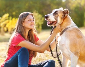 woman walking dog on leash sitting down