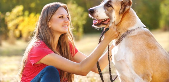 Seven Reasons You Should Own A Dog