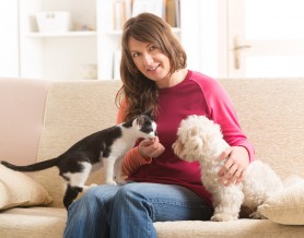 In Home Pet Sitters Career