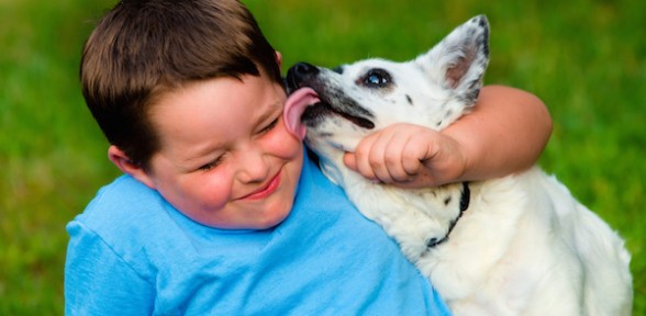 Preventing Pet Bites In National Dog Bite Prevention Week