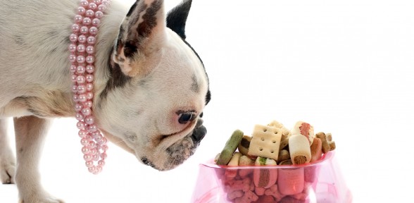 In Honor Of National Dog Biscuit Day: More Things To Chew On